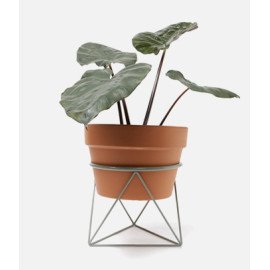 Furniture & Decors (5)