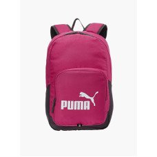 Prosciutto pork chop